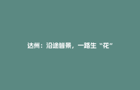达州：沿途皆景，一路生“花”