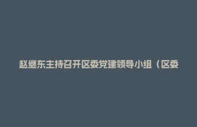 赵继东主持召开区委党建领导小组（区委区政府党风廉政建设责任制领导小组）会议