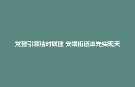 党建引领结对联建 安靖街道率先实现天然气管网 “村村通”“户户用”