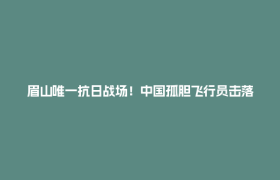 眉山唯一抗日战场！中国孤胆飞行员击落日军“轰炸大王”