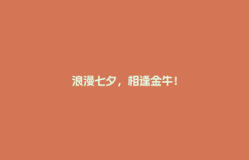 浪漫七夕，相逢金牛！