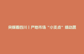 央媒看四川丨产地市场“小支点”撬动蔬菜产业“大发展”