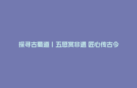 探寻古蜀道丨五感赏非遗 匠心传古今