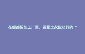 在郫都智能工厂里，看稀土永磁材料的“数智突围”→