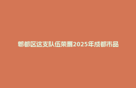 郫都区这支队伍荣膺2025年成都市品牌科技志愿服务队伍榜首