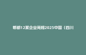 郫都12家企业亮相2025中国（四川）—乌兹别克斯坦国际商品博览会，借丝路东风拓中亚市场
