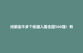 成都金牛多个街道入围全国500强！有你熟悉的吗→