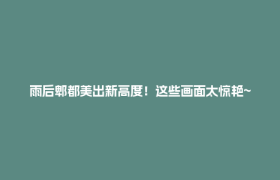 雨后郫都美出新高度！这些画面太惊艳~