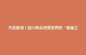 方志新语丨四川有朵改变世界的“悬崖之花”