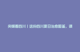 央媒看四川丨这份四川夏日治愈图鉴，请查收