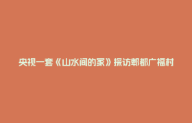 央视一套《山水间的家》探访郫都广福村：撒贝宁“韭菜趣谈”揭秘“小韭菜”如何绘就乡村振兴新图景