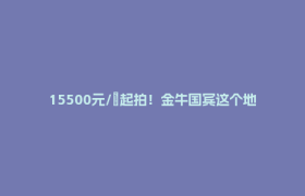 15500元/㎡起拍！金牛国宾这个地块即将入市