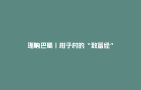 理响巴蜀丨柑子村的“致富经”