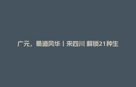 广元，蜀道风华丨来四川 解锁21种生活方式