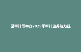 区审计局举办2025年审计业务能力提升专题培训