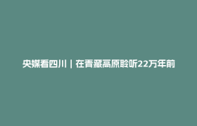 央媒看四川｜在青藏高原聆听22万年前的石头留言——走近四川稻城县皮洛遗址