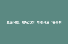 直面问题、现场交办！郫都开启“每周有链长接待”为企业纾困解难