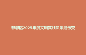 郫都区2025年度文明实践风采展示交流活动举行