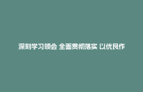 深刻学习领会 全面贯彻落实 以优良作风凝心聚力真抓实干