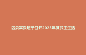 区委常委班子召开2025年度民主生活会