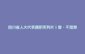四川省人大代表履职系列片丨爱·不孤单——童伴妈妈张蓉的动人故事