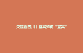 央媒看四川丨宜宾如何“宜宾”