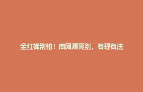 全红婵别怕！向网暴亮剑，有理有法