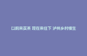 以前来买茶 现在来住下 泸州乡村慢生活等你解锁