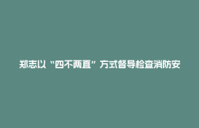 郑志以“四不两直”方式督导检查消防安全工作