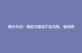 意外开战！唐家河鼯鼠不敌乌鸦，输得明明白白