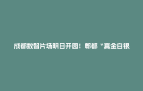 成都数智片场明日开园！郫都“真金白银”护航影视产业升级