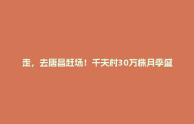 走，去唐昌赶场！千夫村30万株月季盛放，一朵花点亮乡村振兴