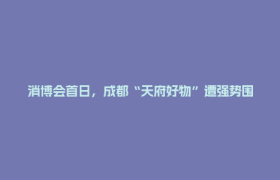 消博会首日，成都“天府好物”遭强势围观