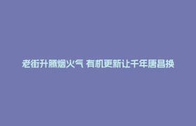 老街升腾烟火气 有机更新让千年唐昌换新颜