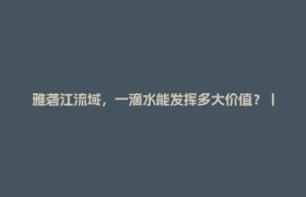 雅砻江流域，一滴水能发挥多大价值？丨万千气象看四川·活力四川行