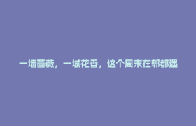 一墙蔷薇，一城花香，这个周末在郫都遇见诗意春天