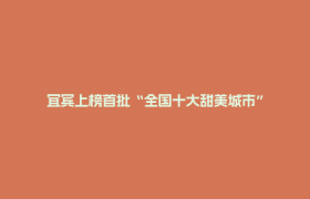 宜宾上榜首批“全国十大甜美城市”