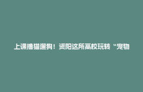 上课撸猫遛狗！资阳这所高校玩转“宠物经济”，解锁就业新赛道