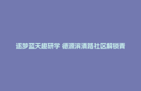 逐梦蓝天趣研学 德源滨清路社区解锁青少年飞行科技之旅