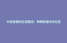 半亩田里的生态魔法！郫筒街道伏龙社区解锁绿色治理新玩法