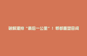 破解灌排“最后一公里”！郫都重塑田间“毛细血管”，水润良田助丰收