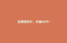 这根绣花针，价值60万！