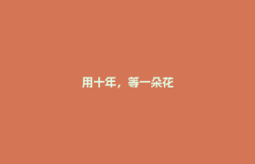 用十年，等一朵花