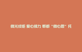微光成炬 爱心接力 郫都“微心愿”托起重度残疾人的“大幸福”