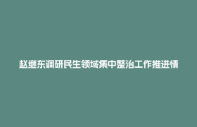 赵继东调研民生领域集中整治工作推进情况