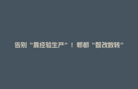 告别“靠经验生产”！郫都“智改数转”尖兵交出“数字答案”