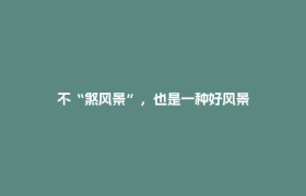 不“煞风景”，也是一种好风景