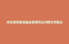郑志调研医保基金管理突出问题专项整治并开展“四不两直”督导检查