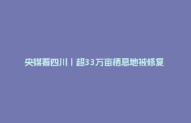 央媒看四川丨超33万亩栖息地被修复 13条生态走廊让大熊猫们“安全串门”