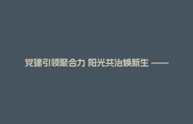 党建引领聚合力 阳光共治焕新生 ——唐昌镇汉唐新城小区走出自治新路径